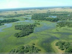 巴西潘塔纳尔的湿地保护神话
